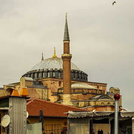 Blue Zerzevan Istambul