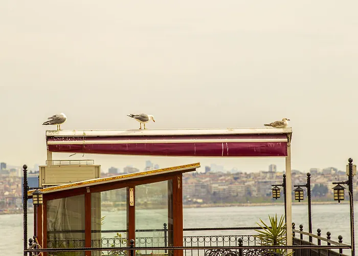 Hotel Blue Zerzevan Provincia di Istanbul